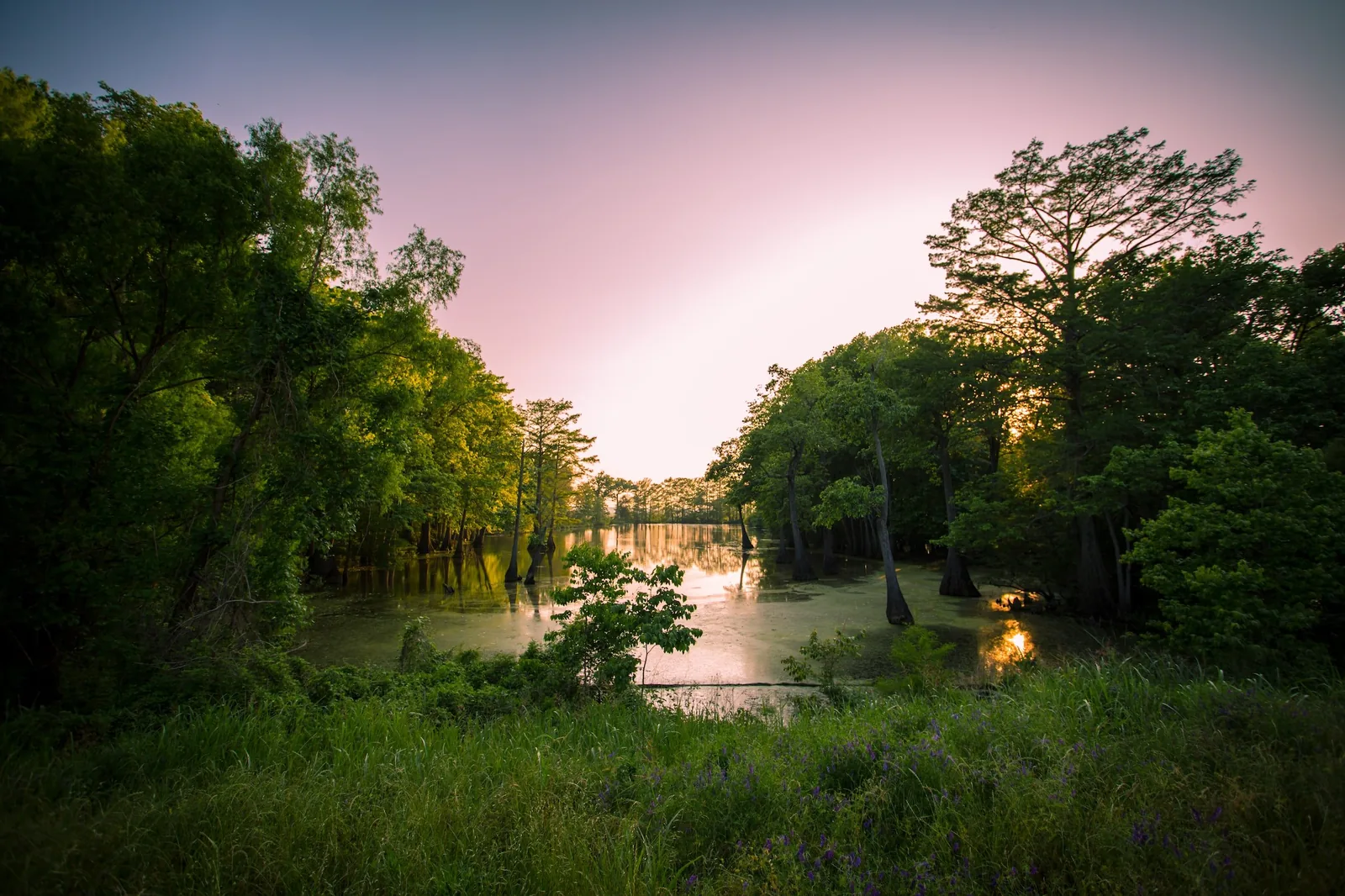 Alligator River National Wildlife Refuge