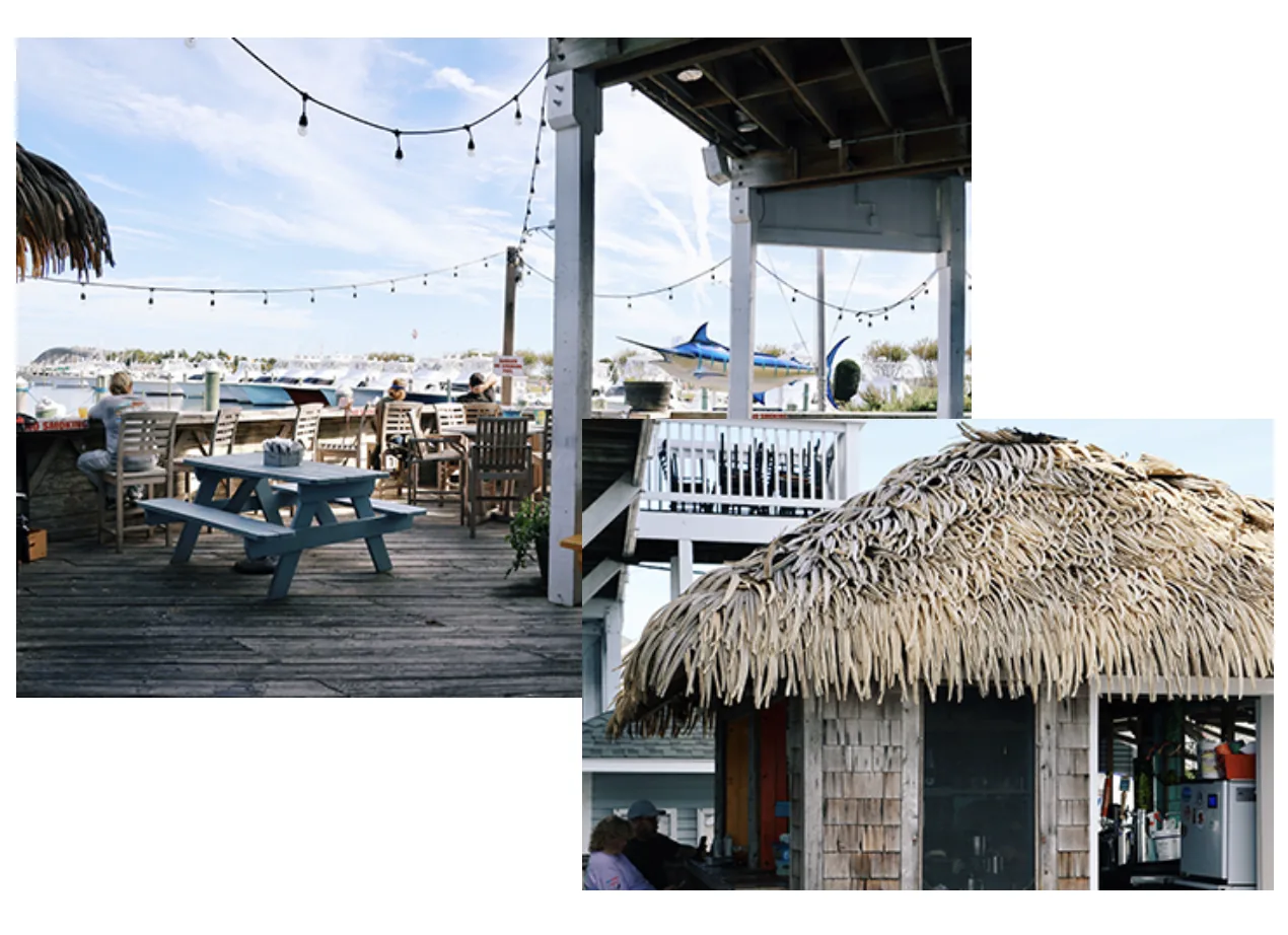 Blue Water Grill & Raw Bar