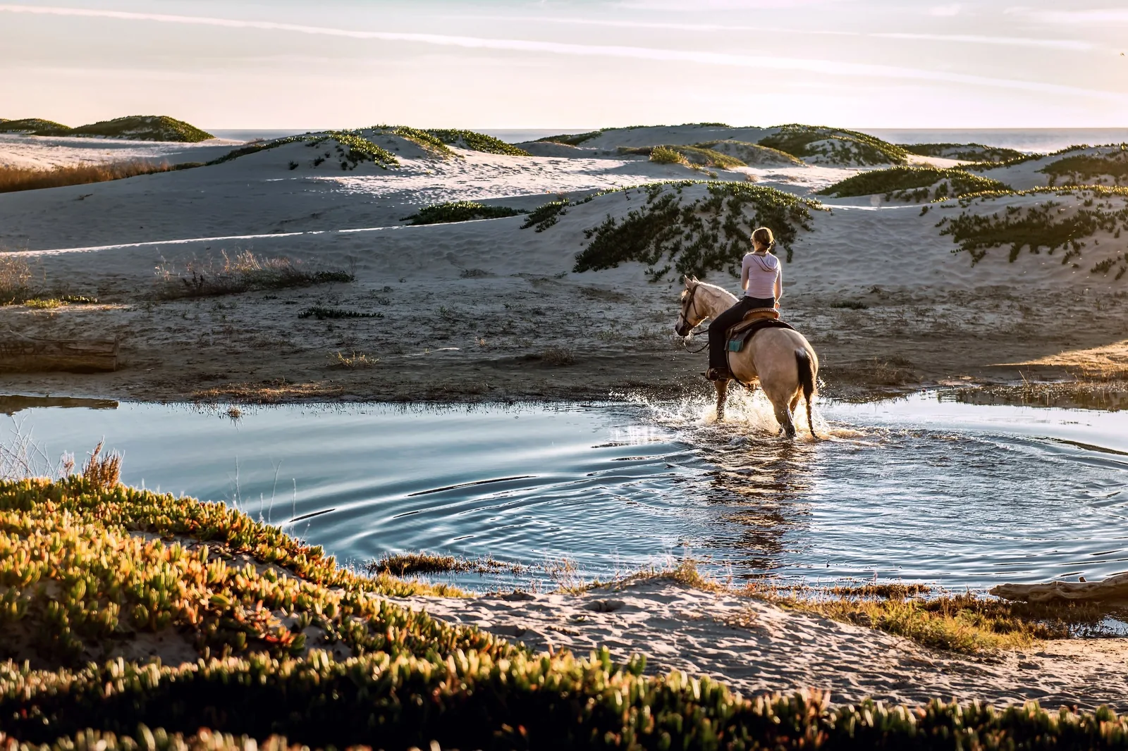 Outer Banks Horseback